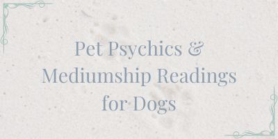 Pet Communications | Can pets communicate during a mediumship reading?