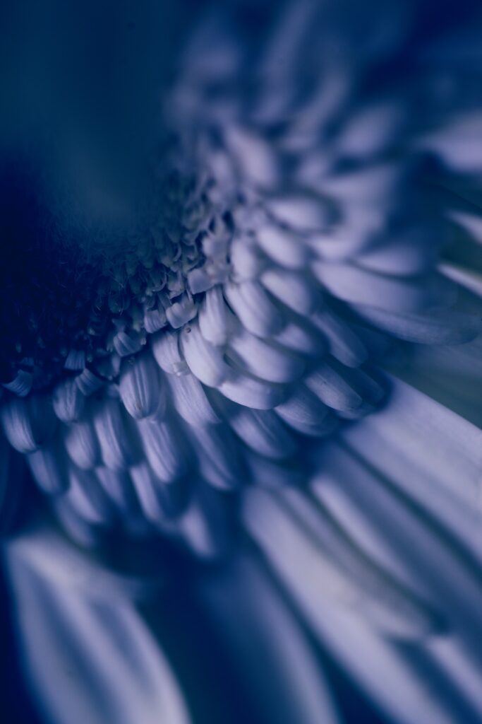 unique information from the mediumship world