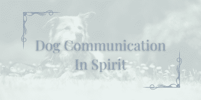 Can dogs communicate from the spirit world?