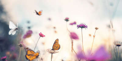 signs from our spirit family