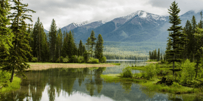 nature and spirit guides