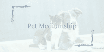 Pet Mediumship | Connecting with Pets in the Spirit World