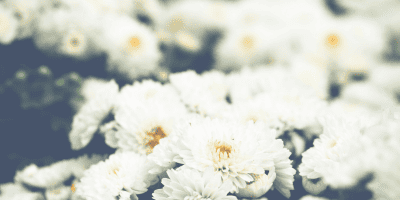 family in spirit healed