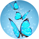 Laurel Adam profile picture